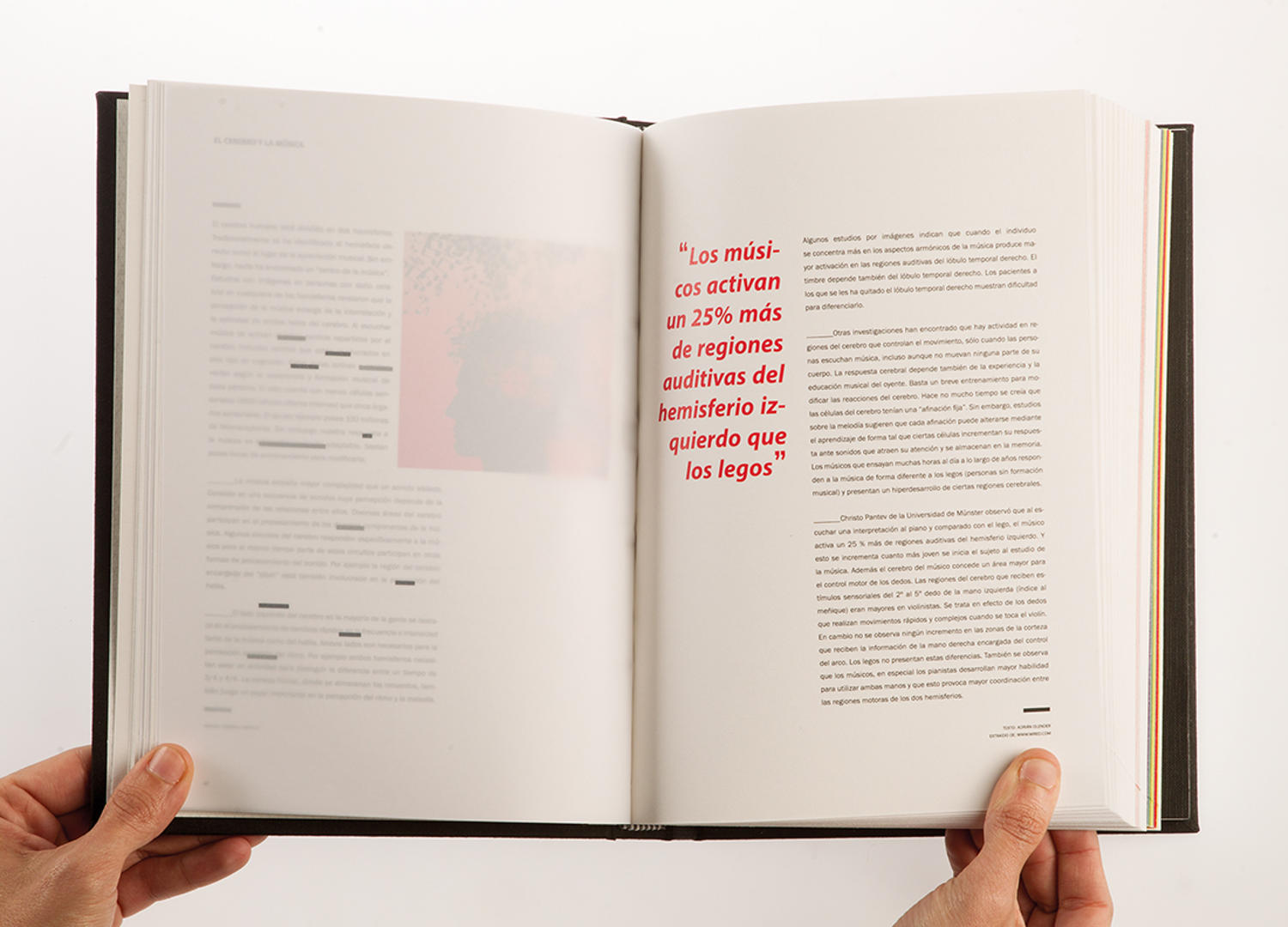 Selekted | Plataforma para mentes creativas