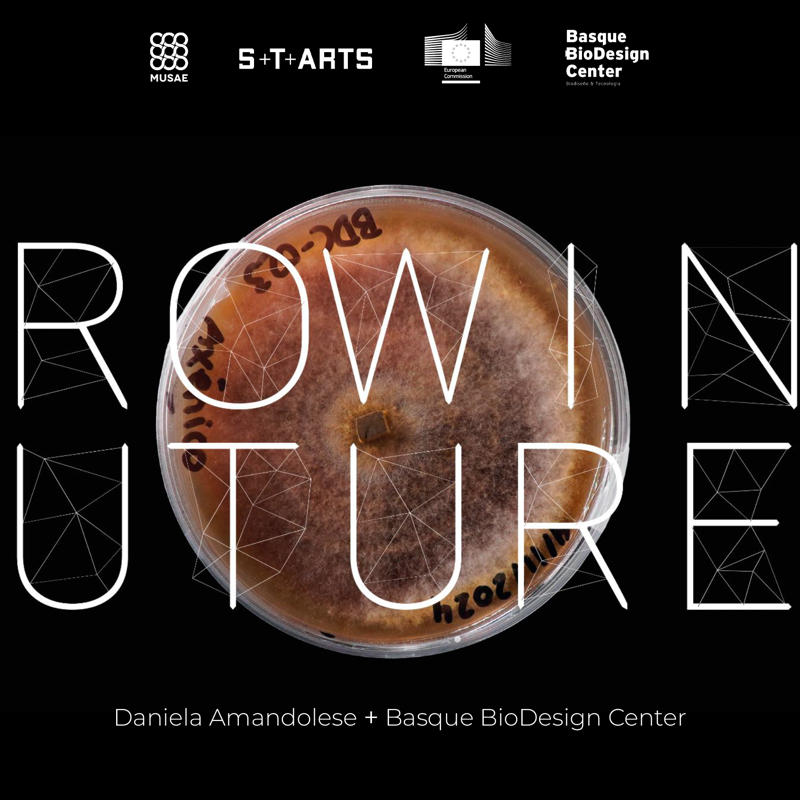 Diseño de Interacción