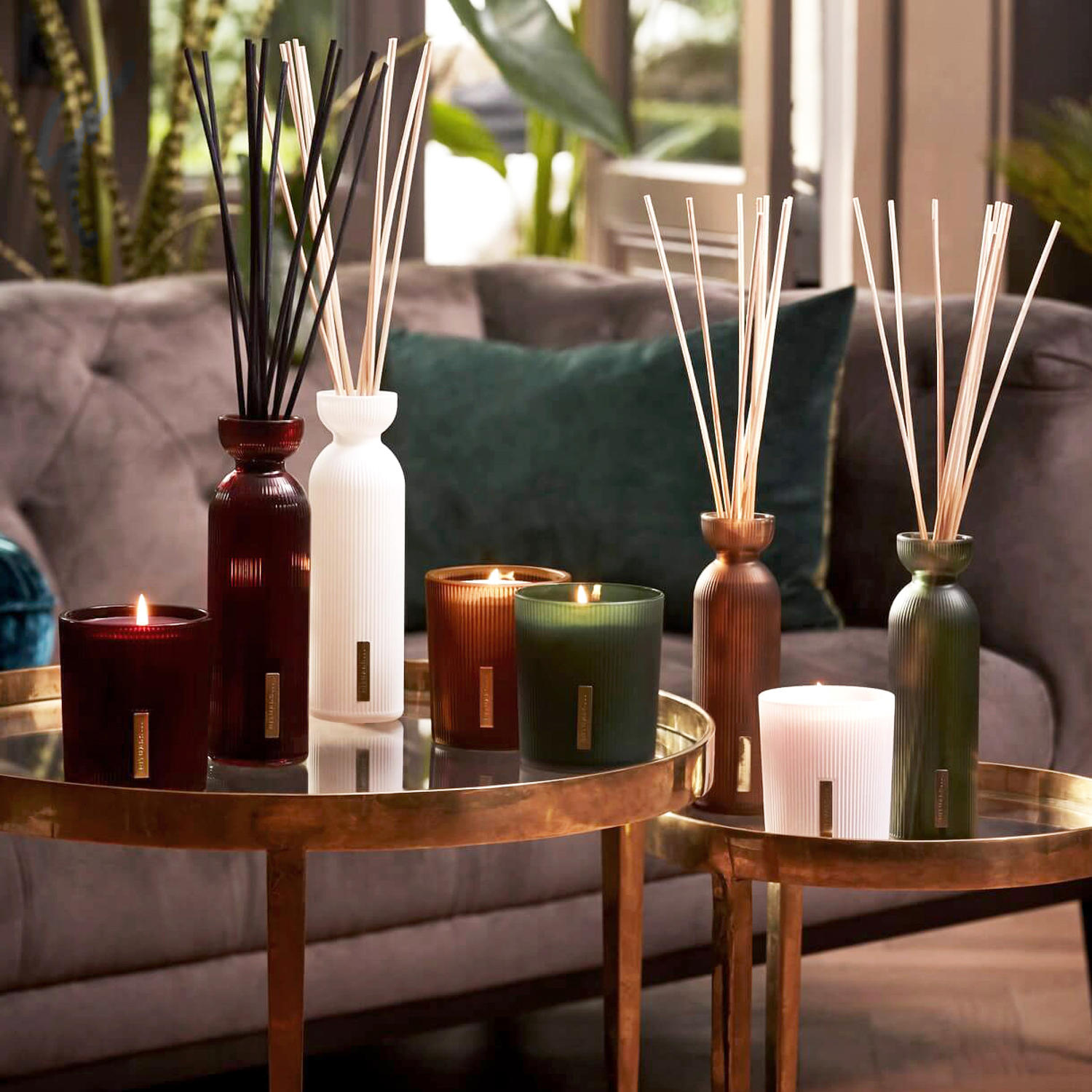 Gama Rituals Selekted | Plataforma para mentes creativas